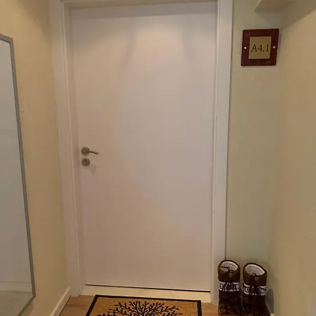 Chamkoria Forest * Borovec