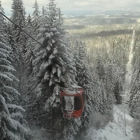 Chamkoria Forest *