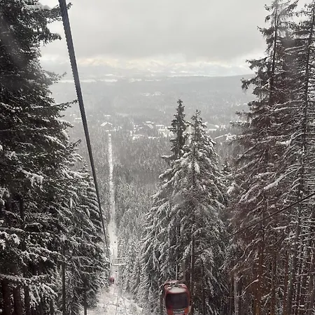 Chamkoria Forest