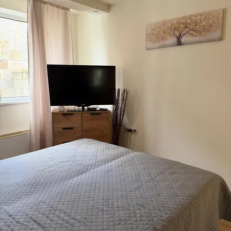 Chamkoria Forest Apartament Borowec
