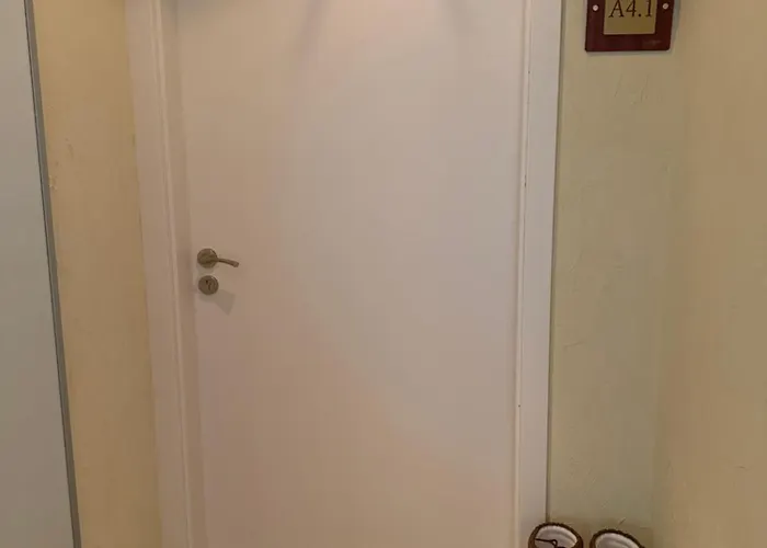 Chamkoria Forest * Boroveț